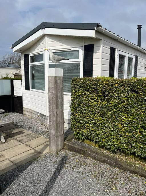 Chalet + Tiny House Nabij Strand Petten Exterior foto