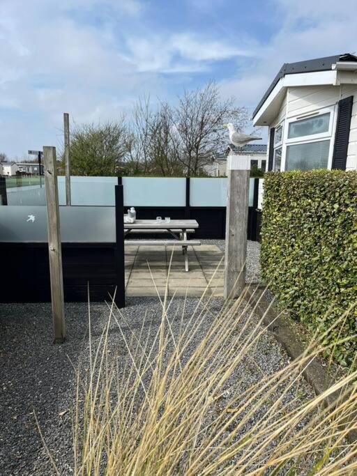 Chalet + Tiny House Nabij Strand Petten Exterior foto