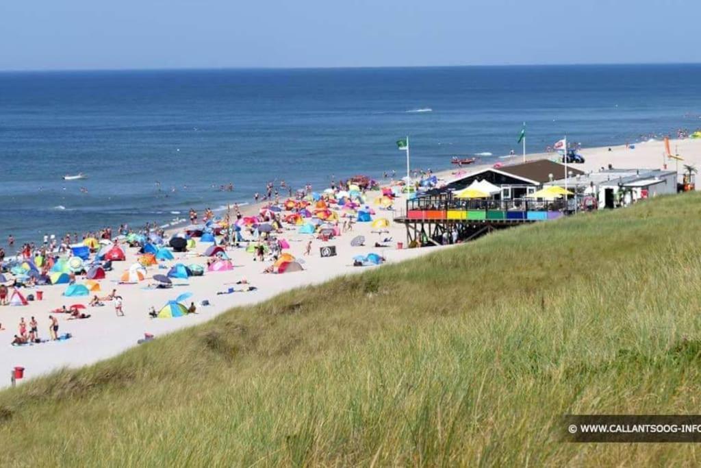 Chalet + Tiny House Nabij Strand Petten Exterior foto
